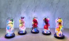 Işıklı Müzikli Cam Fanus İçinde Romantik Gül