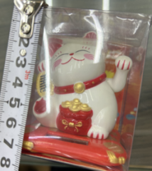Şanslı Kedi