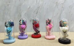 Işıklı Müzikli Cam Fanus İçinde Lavantalı Romantik Gül