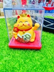 Şanslı Kedi Model 1