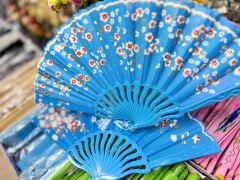 Plastik Desenli Yelpaze