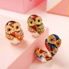 Swarovski Taşlı Baykuş Biblosu 5li Set