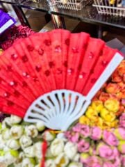 Plastik Pullu Yelpaze