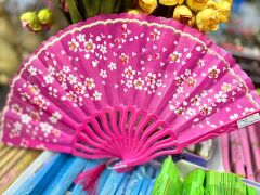 Plastik Desenli Yelpaze