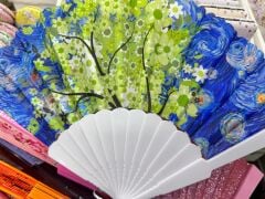 Plastik Desenli Yelpaze