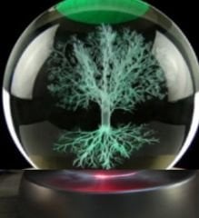 Ağaç Plastik Altlıklı Cam Küre