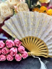 Plastik Desenli Yelpaze