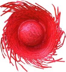 Tropikal Parti Kırmızı Hasır Hawaii Şapkası