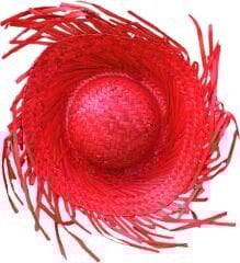 Tropikal Parti Kırmızı Hasır Hawaii Şapkası