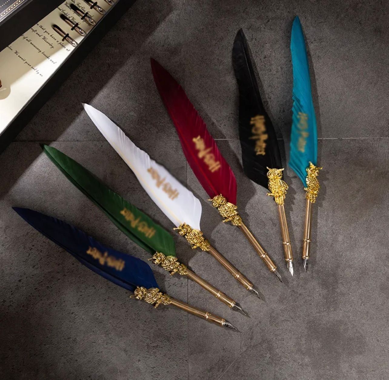 Harry Potter Tüylü Divit Kalem Seti