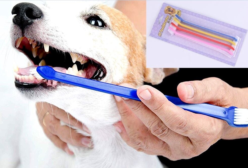 ÇIFT TARAFLI HAYVAN DIŞ FİRÇASI 4 LÜ SET