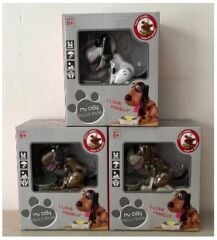 Para Yiyen Köpek Kumbara