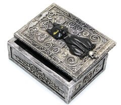 Polyester Kedi Tasarımı Kutu