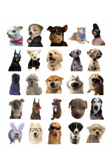 Sevimli Köpek Çıkartmaları Laptop Notebook Tablet Sticker Seti
