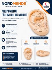 NORDMENDE Akupunktur Eğitim Kulak Maketi Auriküloterapi Nokta Gösterim Anatomik Eğitim Modeli