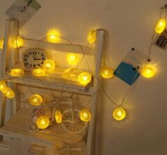 2 Metre 10 Led Pilli 2 Kademeli Limon Led Işık