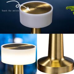 Dekoratif Led Masa Lambası MZ-701