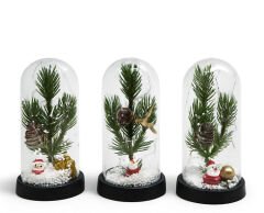 Işıklı Dekoratif Cam Fanus - Model 9