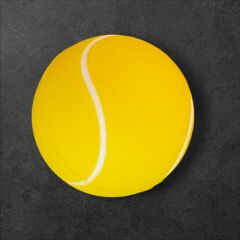 Evcil Hayvan Oyun Topu