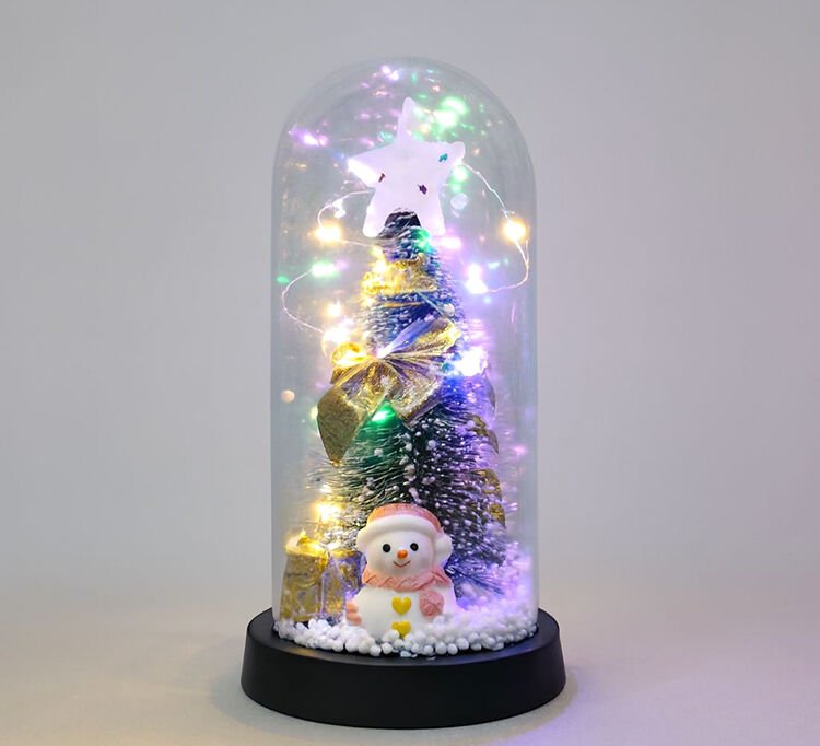 Işıklı Dekoratif Cam Fanus - Model 7