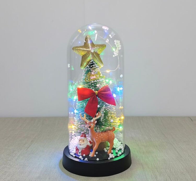 Işıklı Dekoratif Cam Fanus - Model 5