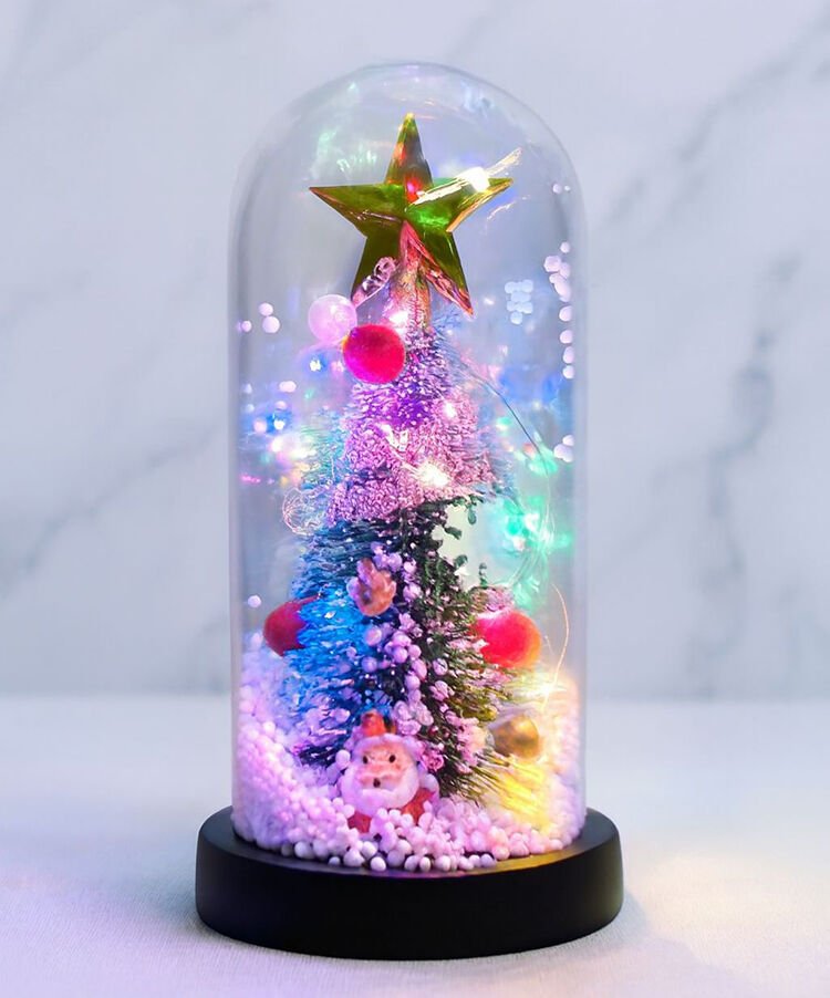 Işıklı Dekoratif Cam Fanus - Model 4