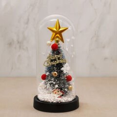 Işıklı Dekoratif Cam Fanus - Model 4