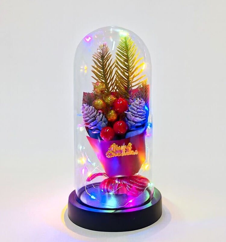 Işıklı Dekoratif Cam Fanus - Model 3