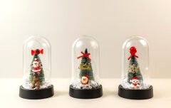 Işıklı Dekoratif Cam Fanus - Model 2