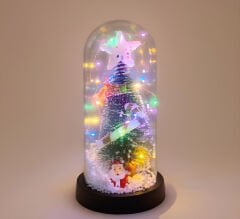 Işıklı Dekoratif Cam Fanus - Model 1