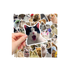 Çılgın Kediler Macbook Notebook Tablet Telefon Ajanda Laptop Defter Sticker Seti
