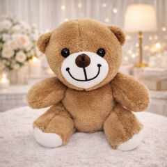 Toptan Sevimli Peluş Ayicik