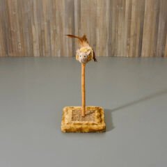 Sesli Oyuncaklı Kedi Tırmalama Tahtası