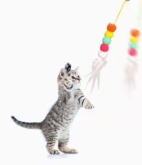Elastik Yapışkanlı Kedi Oyun Oltası
