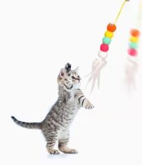 Elastik Yapışkanlı Kedi Oyun Oltası