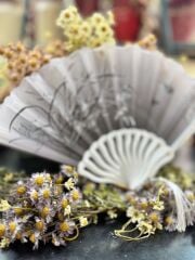 Plastik Desenli Yelpaze