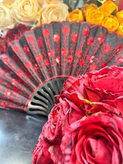 Plastik Desenli Yelpaze