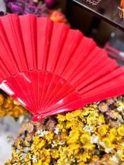 Plastik Yelpaze Kırmızı