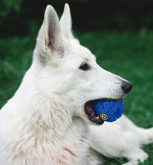 SESLI MAMA OYUN TOPU