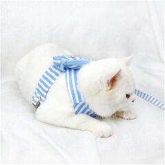 Evcil Hayvan Çantalı Göğüs Gezdirme Tasması Seti