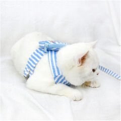 Evcil Hayvan Çantalı Göğüs Gezdirme Tasması Seti