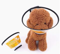 Ayarlanabilir Koruyucu Yaka 6 Numara