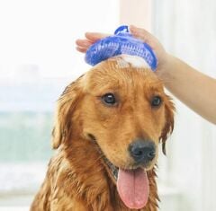 Evcil Hayvan Silikon Tüy Toplama Yıkama Fırçası