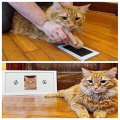 Kedi Köpek Pati İzi Fotoğraf Çerçevesi Seti