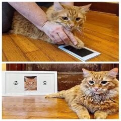 Kedi Köpek Pati İzi Fotoğraf Çerçevesi Seti