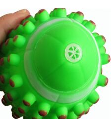 Sesli Köpek Diş Kaşıma Topu