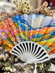 Plastik Desenli Yelpaze