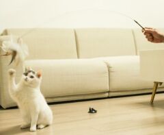 Vantuzlu Tüylü Zilli Kedi Oyun Oltası