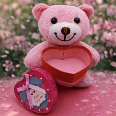 Toptan Kutulu Pembe Ayıcık