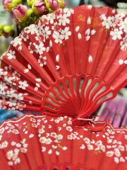 Plastik Desenli Yelpaze